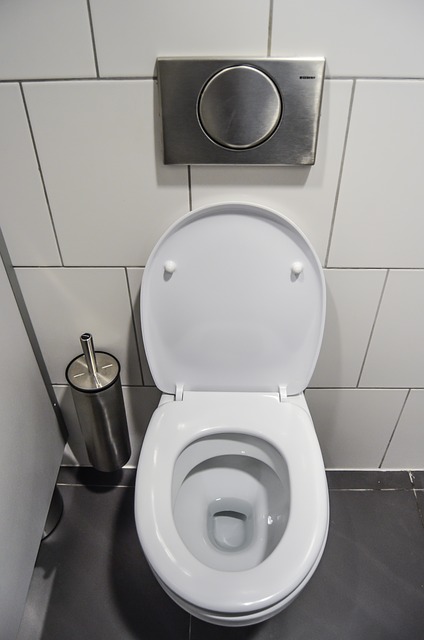 Toilet ontstoppen